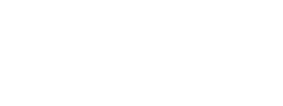 Senior Connection - Plan Logo 2